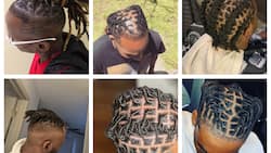 20 best barrel dreads styles for men to try out in 2023