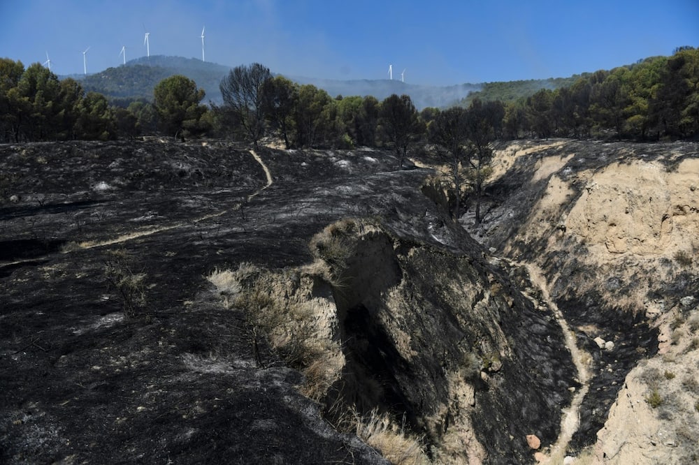 So far this year, Spain has suffered 391 wildfires, destroying a 271,020 hectares of land, according to the European Forest Fire Information System