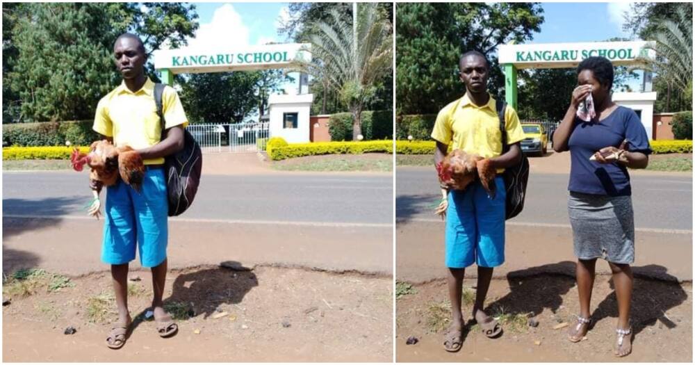 Embu: Form One Student, His Mother Left in Tears after Principal Rejects Request to Offer Rooster as Fees