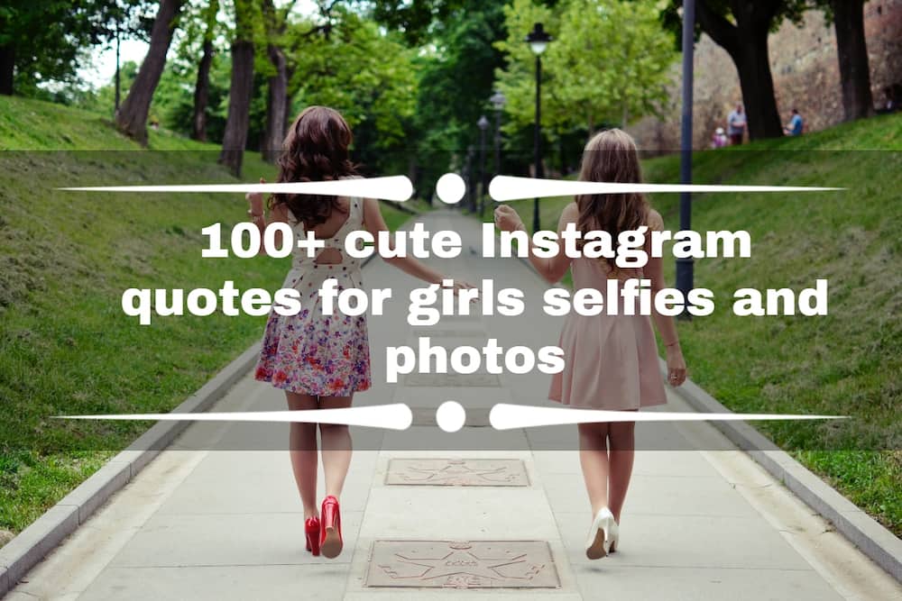 100+] Cute Instagram Wallpapers