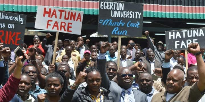 Egerton University lecturers protesting.