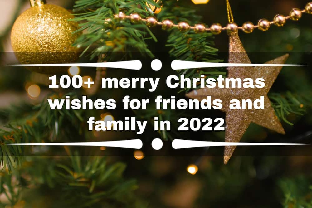 100+ merry Christmas wishes for friends and family in 2022 - Tuko.co.ke