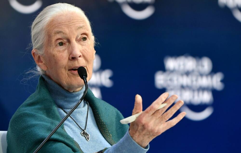 Earth's climate is changing so quickly that humanity is running out of chances to fix it, primatologist Jane Goodall -- pictured on January 22, 2020 -- has warned in an interview