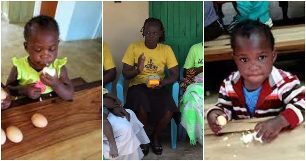 Kakamega Grandmother Practising Poultry Farming to Shun Long-Held Belief: “Eggs Don't Make Babies Dumb