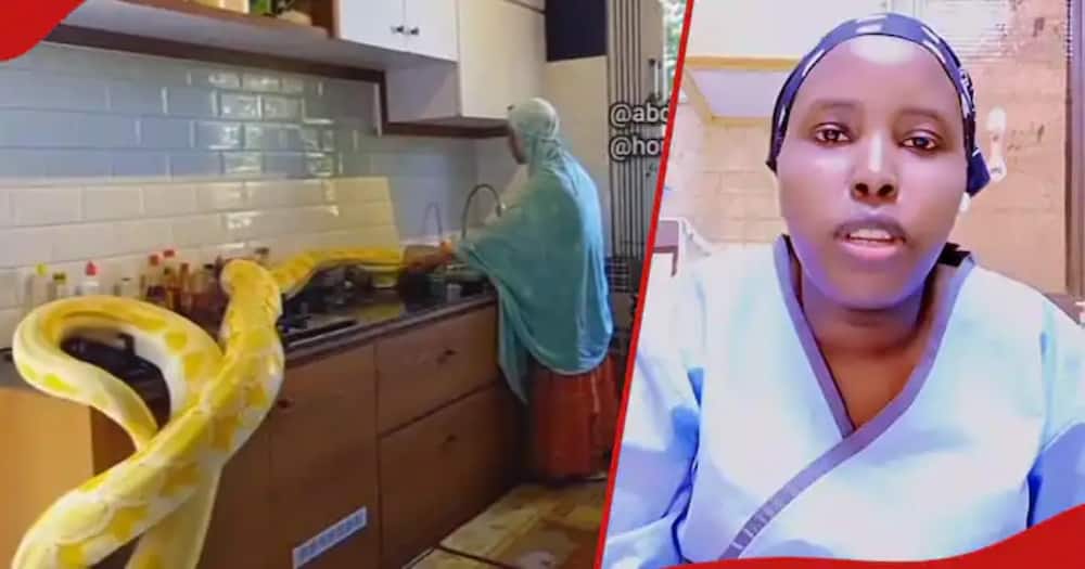 A Kenyan woman showed off her boss's pet as she continued working.