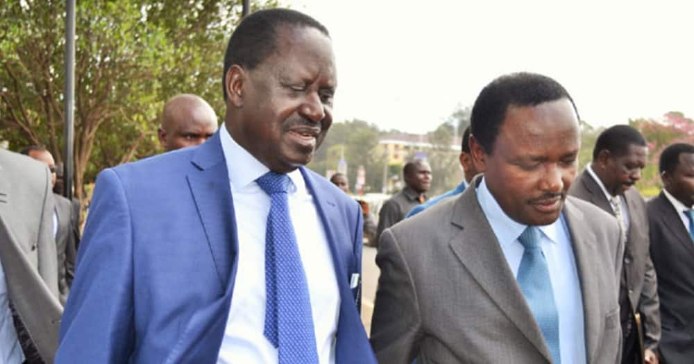 Raila Odinga and Kalonzo Musyoka. Photo: ODM.
