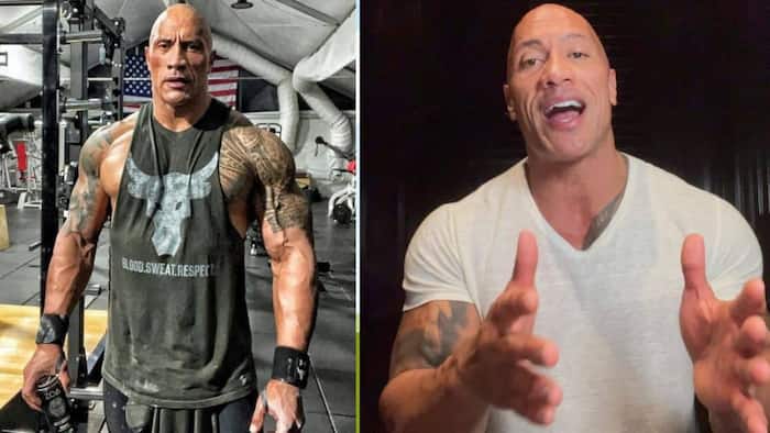 The Rock Shares Hilarious Video of Cow Doing His Signature Eyebrow Raise Move, Peeps in Stitches: "So Funny"