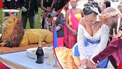 Stephen Letoo's Huge Lion Wedding Cake Elicits Mixed Reactions: "Baker Nailed It"