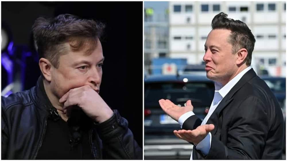 Elon Musk knocked off top of Forbes rich list by Louis Vuitton