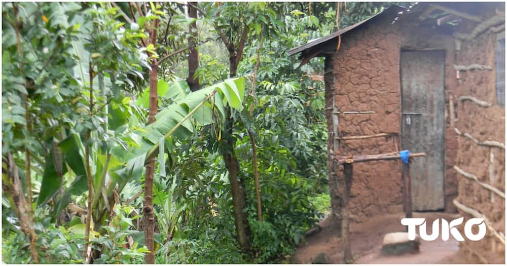 A home for three of the boys who eat a hawk. Photo: Collins Mmbulika/TUKO.co.ke.