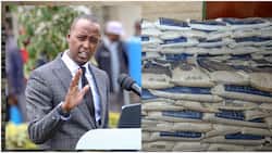 Gov't Has Disbursed over 1 Million Bags of Subsidised Fertilisers to Farmers, Hussein Mohamed