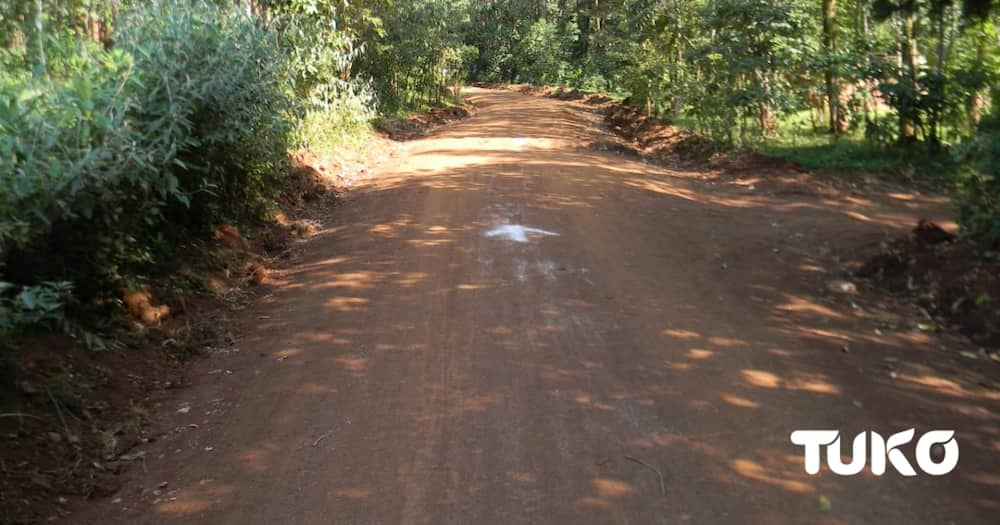 Road Catherine Kasavuli's home.