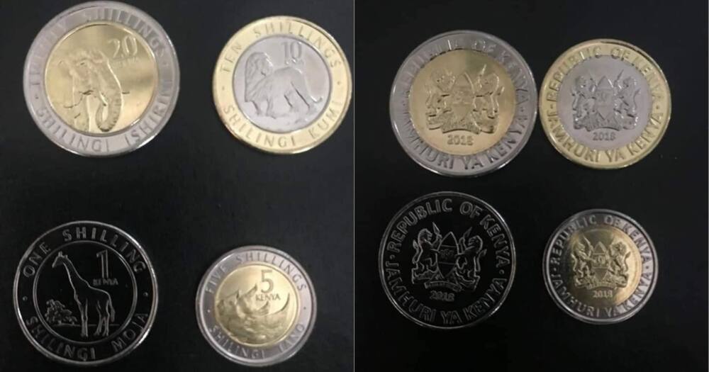 New currency look faces opposition in court for breaching the constitution