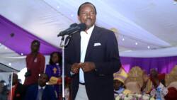 Wiper Leaders Approve Kalonzo Musyoka's Return to Azimio: "We Want to Be Part of New Kenya"