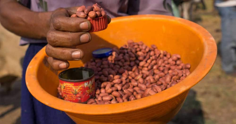 Groundnuts and stamina.