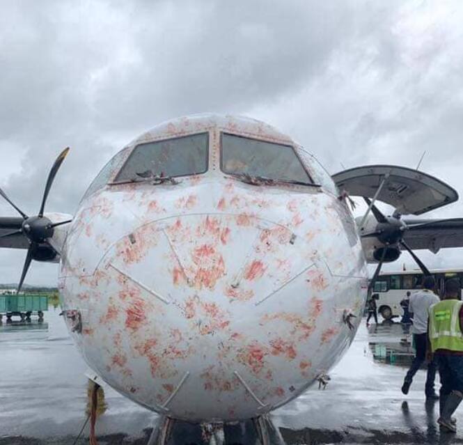 Scare as Tanzania airline suffers multiple bird strikes while landing