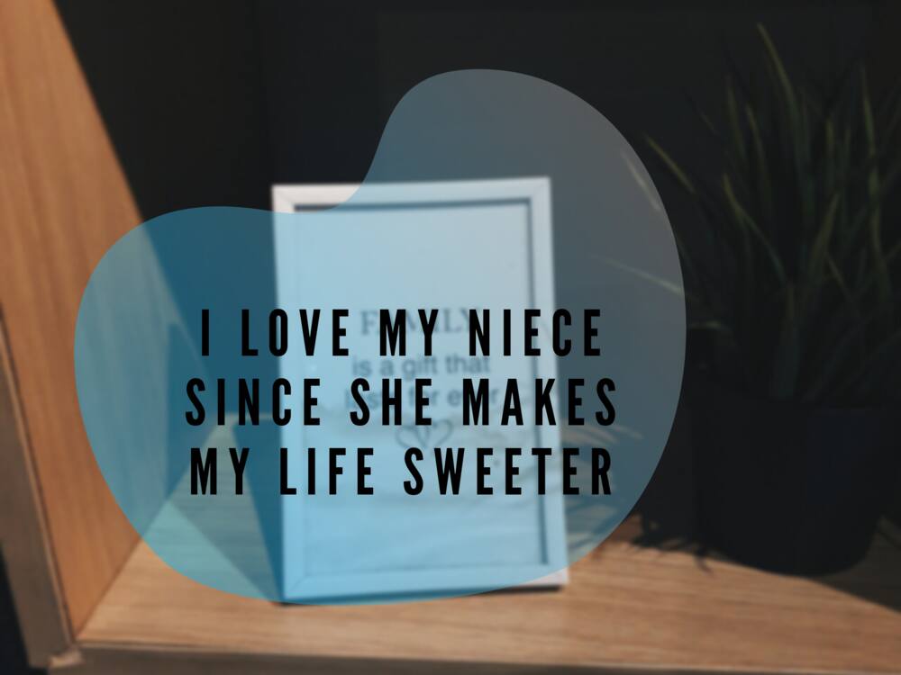 niece and nephew quotes