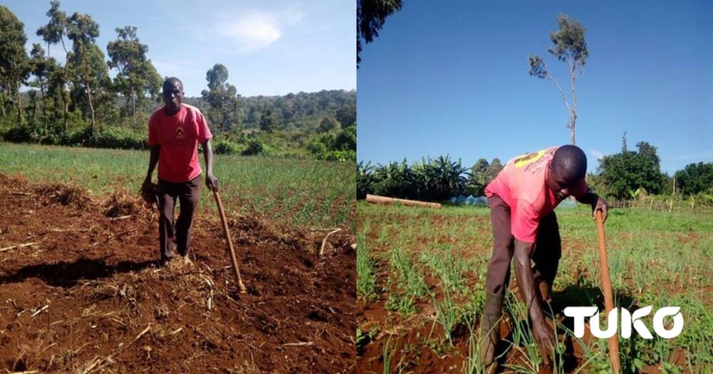 Meet Actuarial Science graduate from Chuka forced into farming before securing formal employment