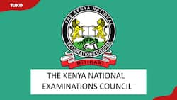 How to download KNEC examiners invitation letters and portal guide