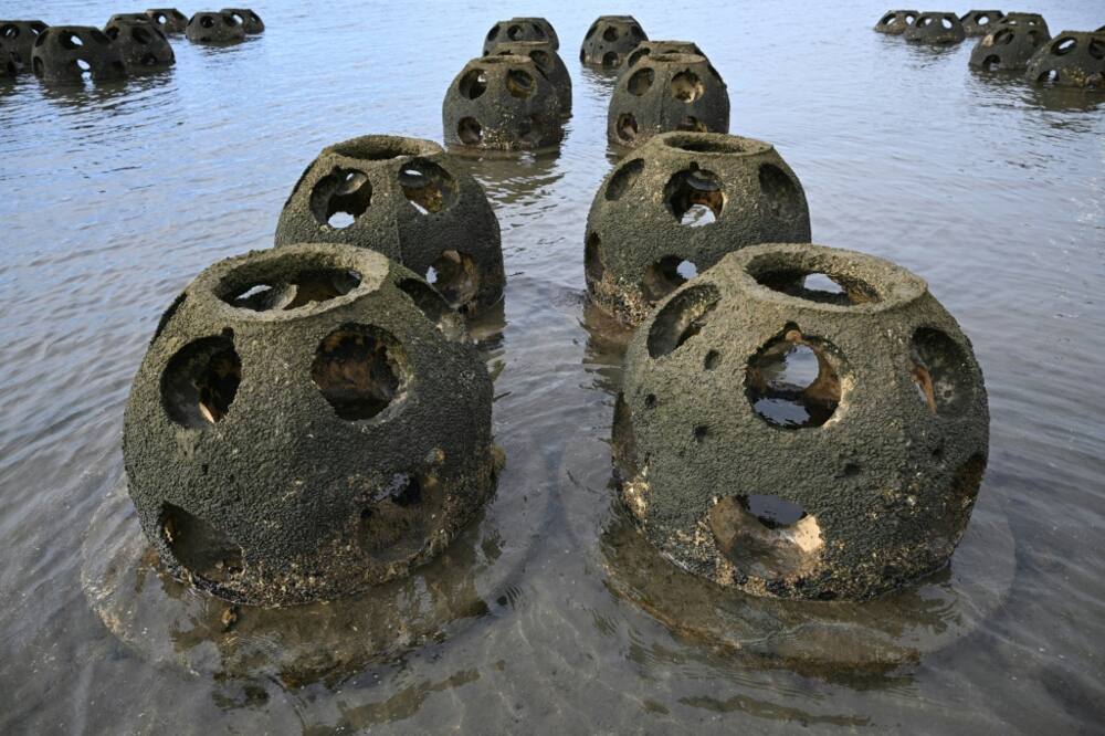 Scientists hope reef balls like these, in waters near Chula Vista, California, will ultimately help protect the coast from erosion made worse by climate change