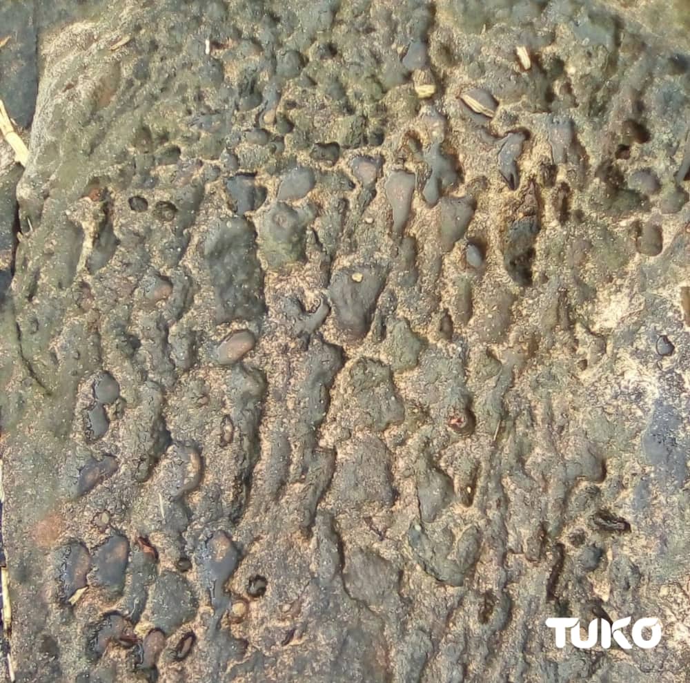 Photos of Bungoma rocks bearing footprints of Musikari Kombo's forefather Mulya