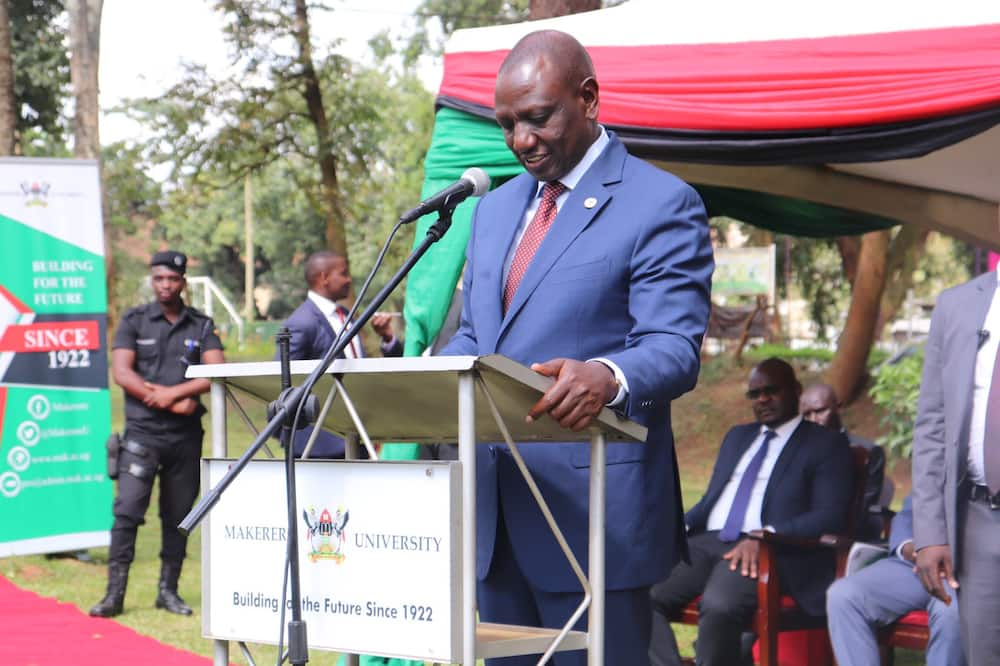 William Ruto tickles netizens after sarcastically laughing off comments he is under siege