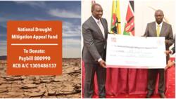 Rigathi Gachagua Discloses Gov't Has Raised Over KSh 592m to Help Kenyans Facing Hunger