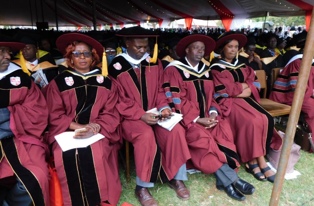 Courses offered at Laikipia University