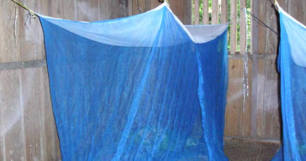 Some patients were untying the nets from the hospital bed and stuffing them inside their belongings. Photo: ZSL.