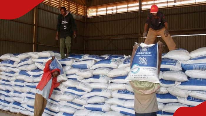 Gov't Suspends Distribution of Subsidised Fertiliser at NCPB Stores With Immediate Effect