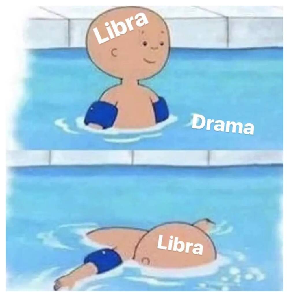 libra memes