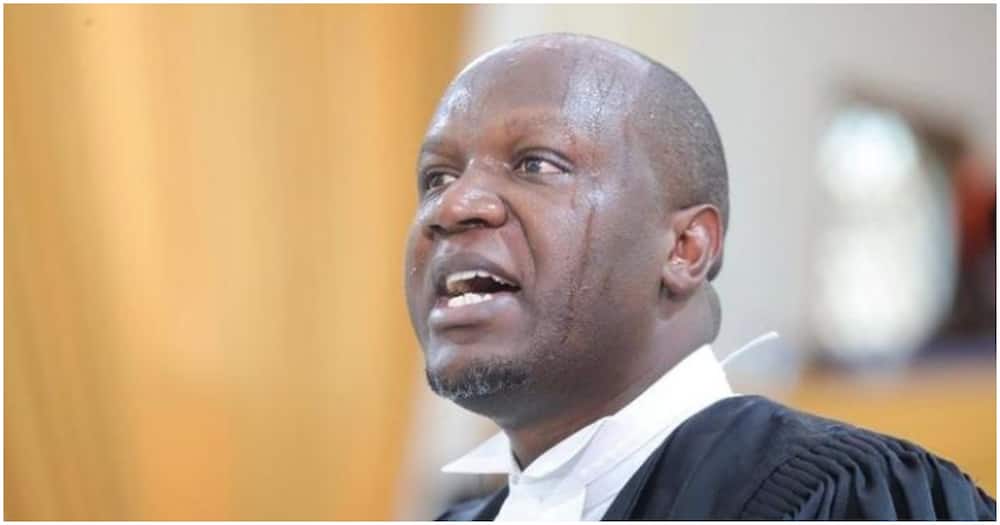 Willis Otieno: 7 Photos of 'Piki Piki Ponki' Lawyer Who Wanted to Be Kenya's Deputy President.