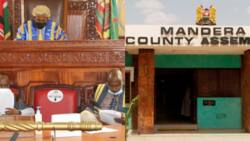 Mandera County Assembly Fails to Get Quorum as MCAs Embark on Early 2022 Campaigns