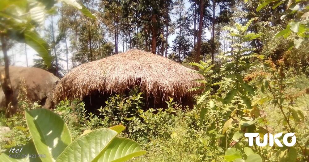 Vihiga man who has been living in a circumcision initiates' hut said his father rejected him.
