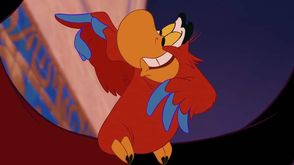 disney bird cartoon characters