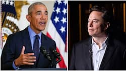 Elon Musk, Barack Obama Get Twitter Affiliate Badges as New Boss Rolls Out Authenticity Marks