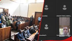 LSK vs KDF: Over 1000 Gen Zs Invade Virtual Court Proceedings, Chant 'Ruto Must Go Slogans'