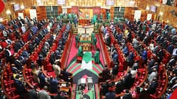 MPs Push to Have Extra Wives Included in Medical Cover Provided by Parliament