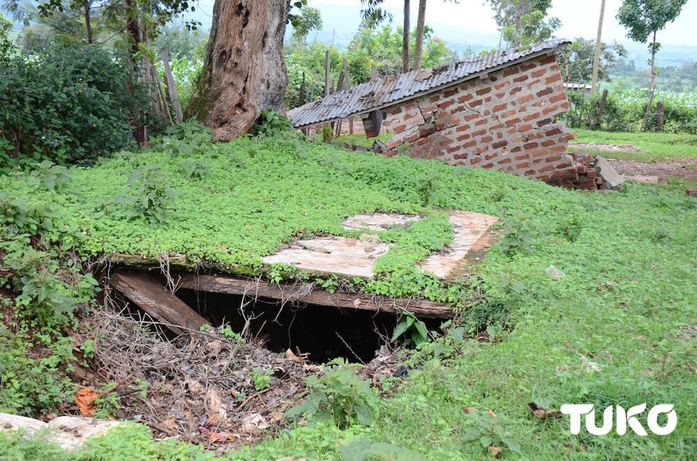 Trans Nzoia School closed as 16 toilets collapse