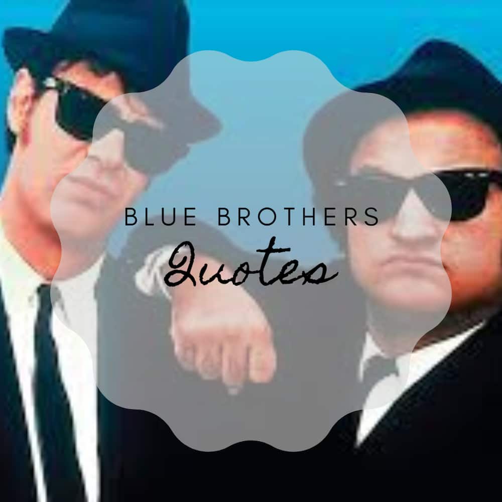 Blues Brothers quotes: Best lines from the movie Tuko.co.ke
