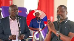 UDA’s Stance: Raila Odinga Must Decide on AUC Job or Presidential Pursuit