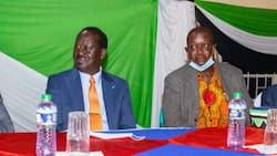 Raila Odinga, Oburu Odinga Brotherly Love Excites Kenyans: "Rising With Family"