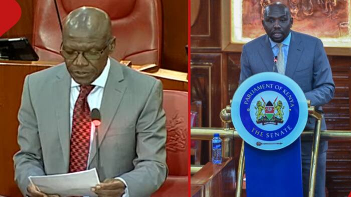 Boni Khalwale Shreds Murkomen for Giving Casual Answers to Senators: "I Feel Extremely Offended