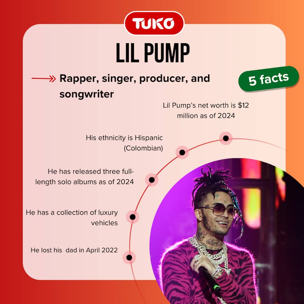 Top-5 facts about Lil Pump
