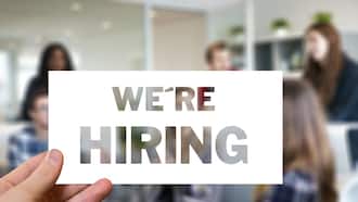 paid volunteer jobs in kenya paid volunteer jobs in kenya