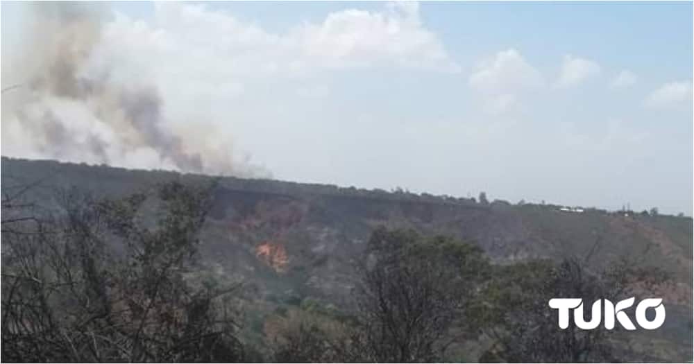 Arabuko-Sokoke forest on fire, cause of inferno unknown
