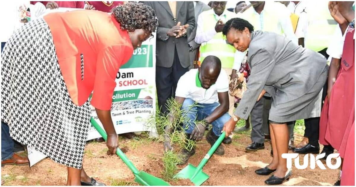 Road To 15,000 Trees: Elgeyo Marakwet School Takes Lead In Increasing ...