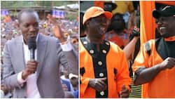 Simba Arati Praises William Ruto for Appointing More Kisiis to Govt: "Hadi Tunaona Aibu"