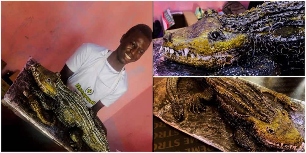 Nigerian man wows social media after baking crocodile cake, says he was directed by holy spirit