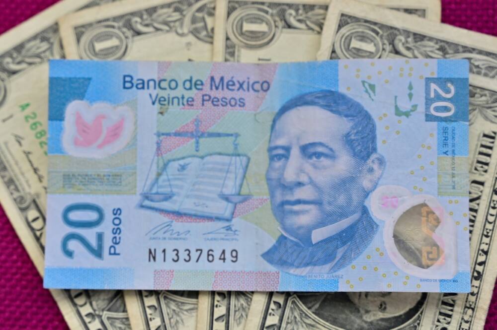 The Mexican peso is among the world's best performing currencies this year